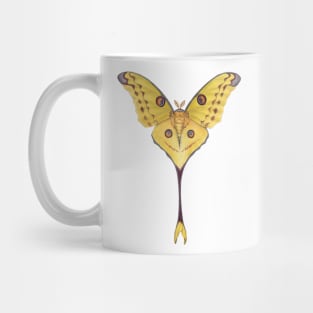 Comet Moth Mug